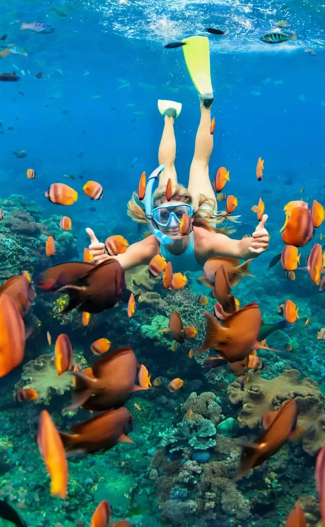 Skyview Watersports Aruba -  Photo Gallery